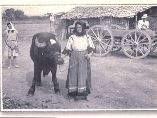 Gorgovites Karditsa in Thessalia Greece